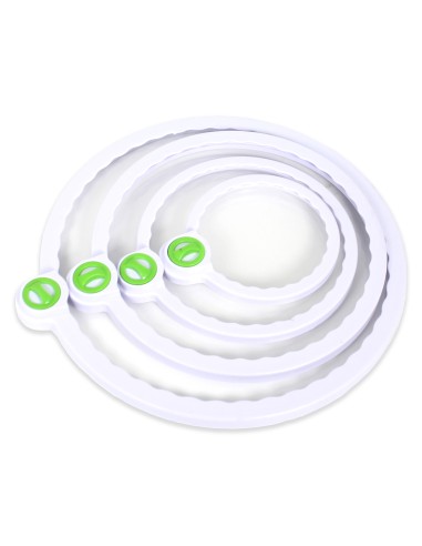 Genius Ideas Couvercle de conservation Fresh avec régulateur de date 4 pièces