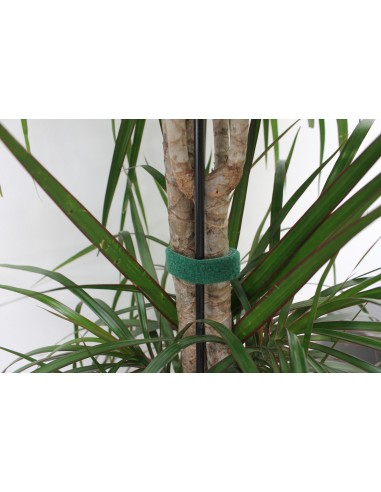 Genius Ideas Ruban auto-agrippant double face '5m' Vert