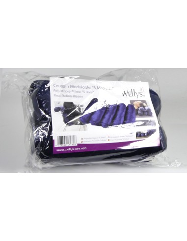 Wellys Coussin de soutien multidirectionnel 5 positions