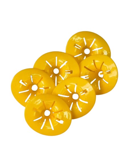 Genius Ideas Piège à guêpes 6 pièces pour bouteilles