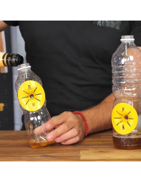 Genius Ideas Piège à guêpes 6 pièces pour bouteilles