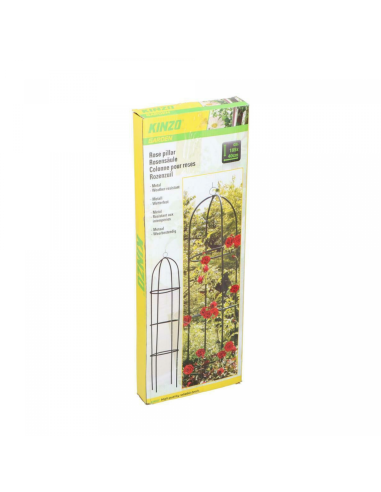 Kinzo Colonne de roses de jardin Vert 185x40cm