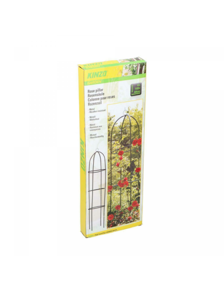 Kinzo Colonne de roses de jardin Vert 185x40cm