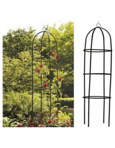 Kinzo Colonne de roses de jardin Vert 185x40cm