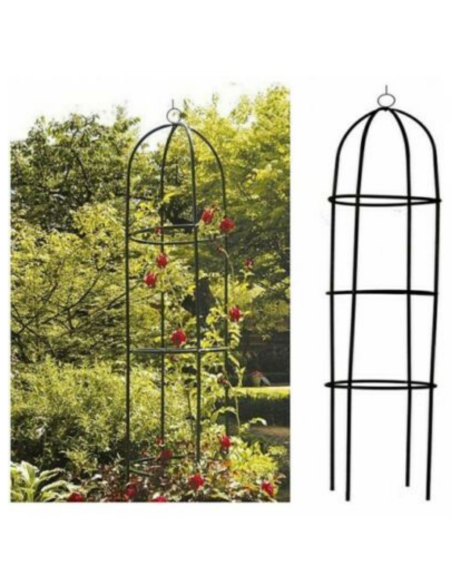 Kinzo Colonne de roses de jardin Vert 185x40cm