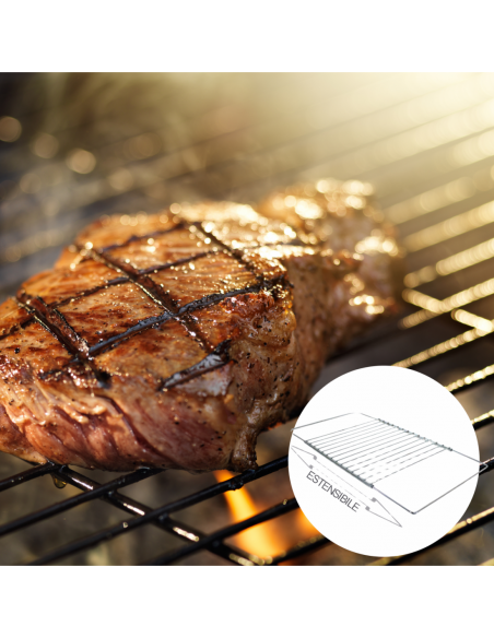 Herzberg HG-03213 Grille De Cuisson Universelle Pour Four Et Grille À Sous-verre Réglable