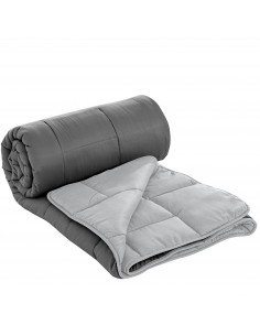 Herzberg HG-2020BCO Couette En Microfibre Bicolore 200x200cm Gris