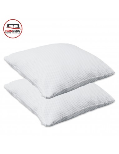 Herzberg HG-65X2 Oreiller 2 Pièces en Mousse Viscoélastique Déchiquetée