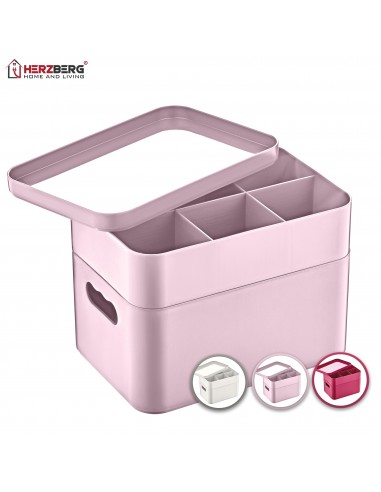 Herzberg HG-OKY676 Boîte de rangement polyvalente à 2 couches Mauve