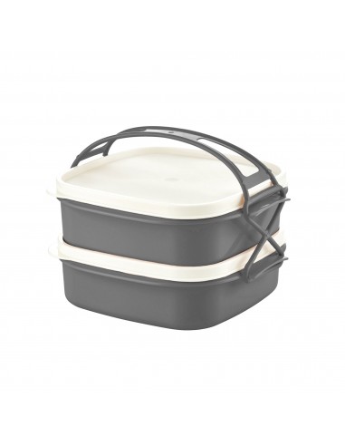 Herzberg Boîte à lunch tétra à 2 couches