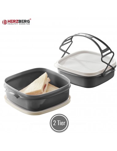 Herzberg Boîte à lunch tétra à 2 couches