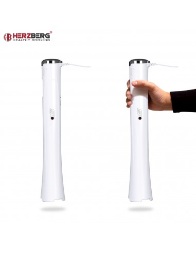 Herzberg Mixeur plongeant plongeant