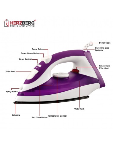 Herzberg HG-8036 Fer à Vapeur 2200W Violet
