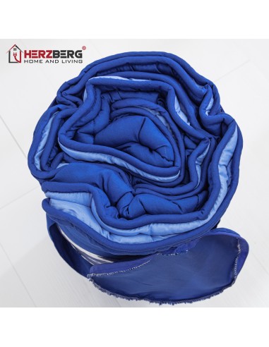 Herzberg Couette En Microfibre Bicolore 140x200cm Bleu