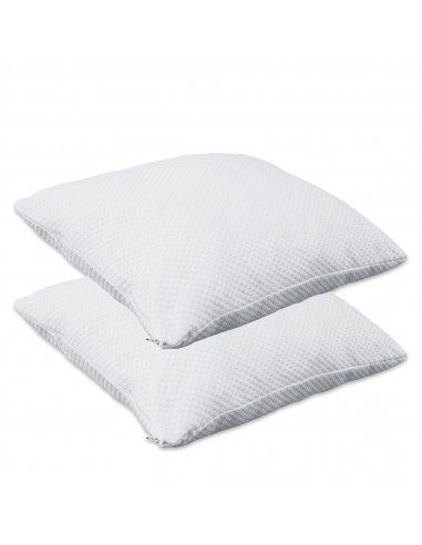 Herzberg HG-65X2 Oreiller 2 Pièces en Mousse Viscoélastique Déchiquetée