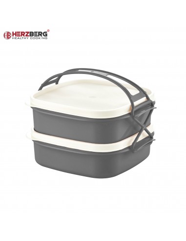 Herzberg Boîte à lunch tétra à 2 couches