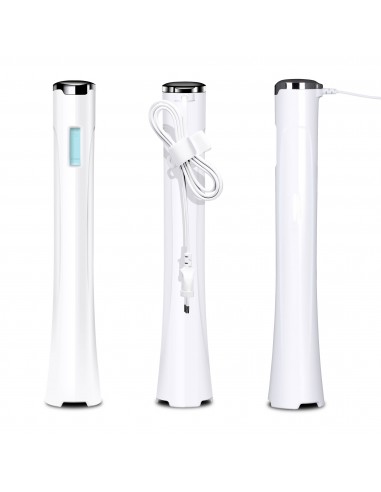 Herzberg Mixeur plongeant plongeant