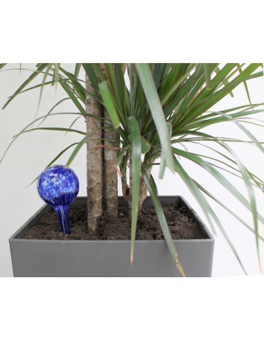 Genius Ideas Distributeur d'Eau pour Plantes 'Mini-Ampoule' Lot de 2