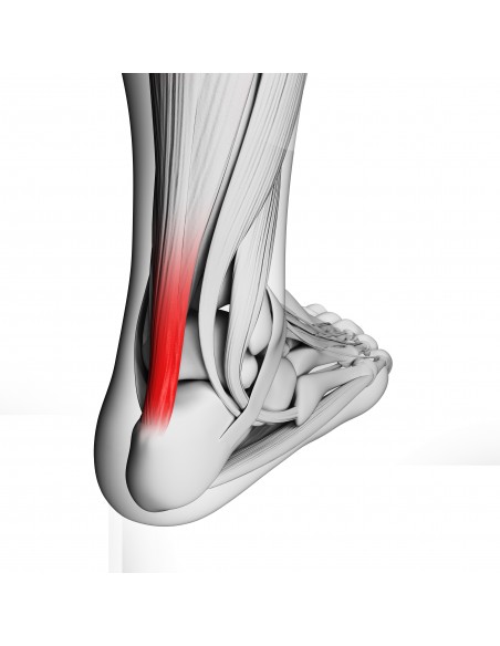 Wellys Coussin  Orthèse de Cheville en Gel Paire