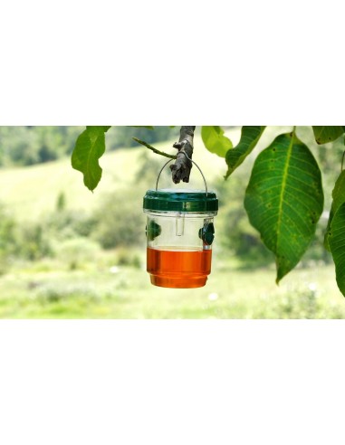 Genius Ideas Piège à insectes solaire