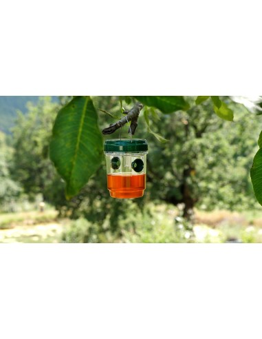 Genius Ideas Piège à insectes solaire