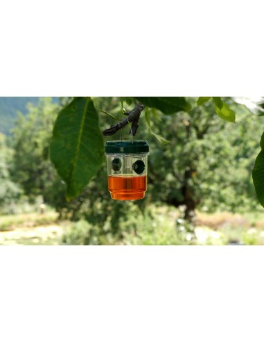 Genius Ideas Piège à insectes solaire