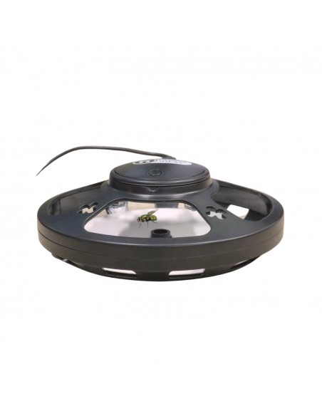 Genius Ideas Piège à insectes USB