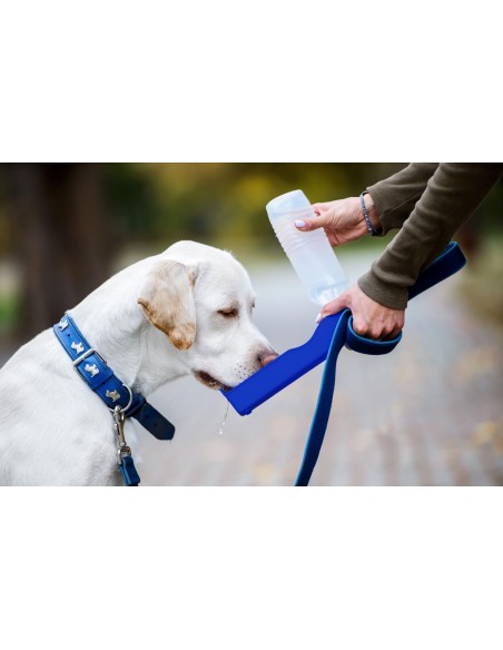Genius Ideas Bouteille d'eau pour chien