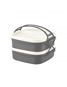 Herzberg Boîte à lunch tétra à 2 couches