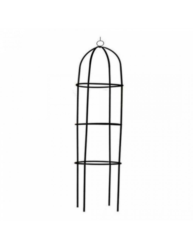 Kinzo Colonne de roses de jardin Vert 185x40cm