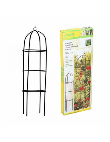Kinzo Colonne de roses de jardin Vert 185x40cm