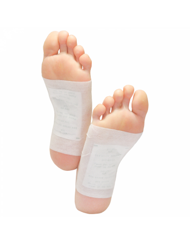 Wellys GI-122108  Lot de 10 plâtres en bambou Gingembre