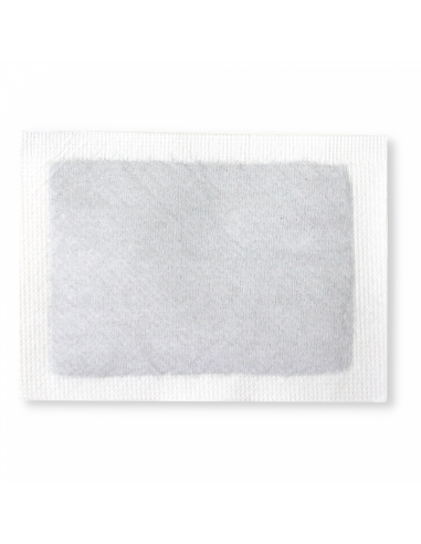 Wellys GI-122108  Lot de 10 plâtres en bambou Gingembre