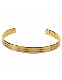 Wellys GD-027510 Bracelet magnétique tricolore Classique