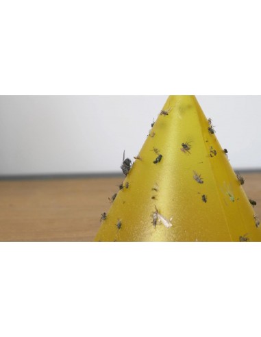 Wellys GI-054565 Recharge/remplacement pour piège collant avec lumière 3pcs