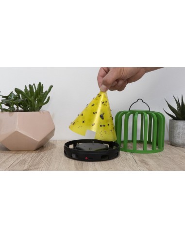 Genius Ideas GI-054561 Piège à insectes lumineux 'Cactus' FLYTRAP