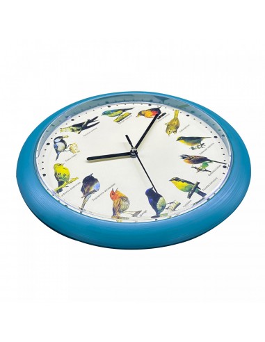 Herzberg HG-03718 Horloge chant d'oiseau japonais Vert